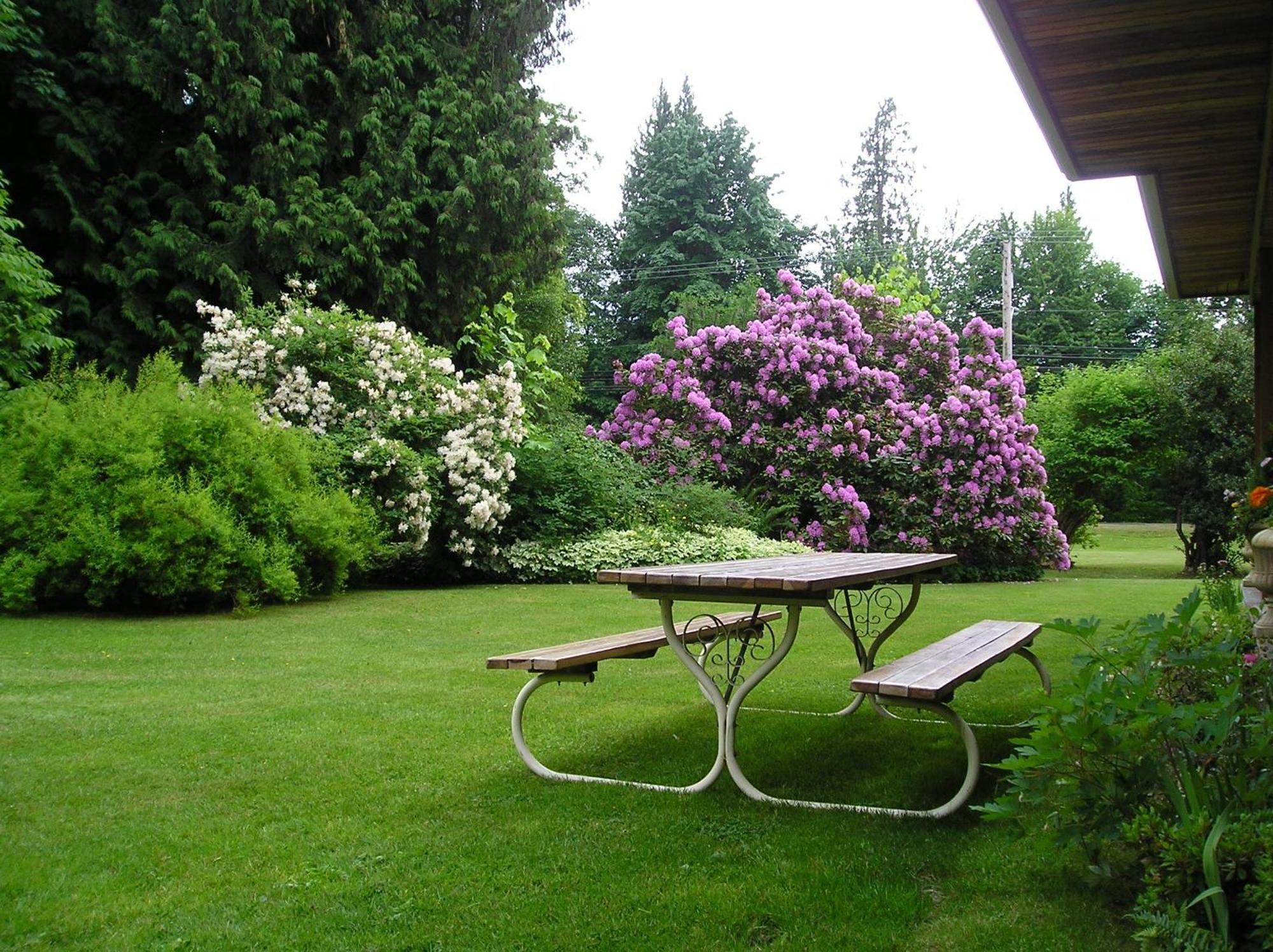 Cedar Wood Lodge Bed & Breakfast Inn Port Alberni Exteriör bild