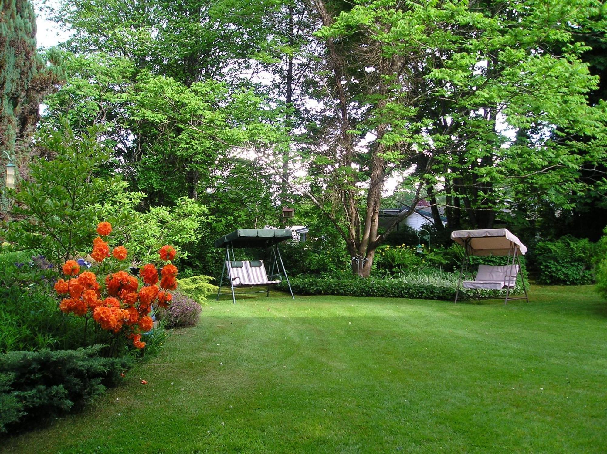 Cedar Wood Lodge Bed & Breakfast Inn Port Alberni Exteriör bild